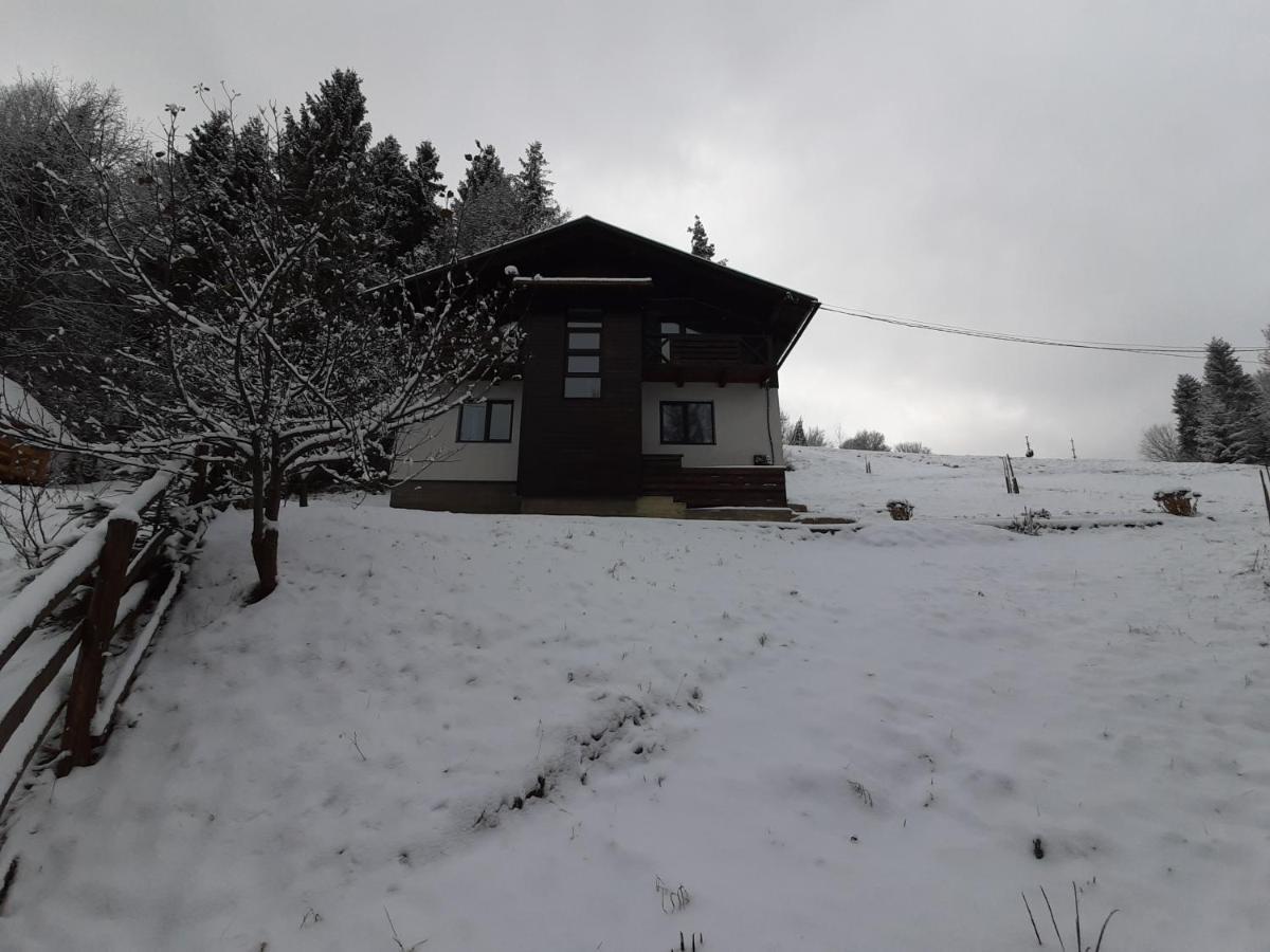 Під Боржавою Pilipets Bagian luar foto