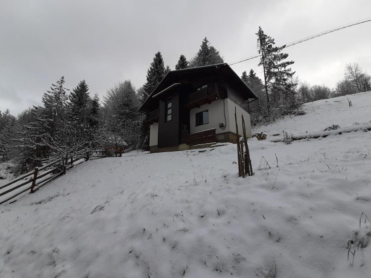Під Боржавою Pilipets Bagian luar foto